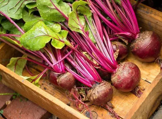 비트 고르는 방법