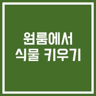작은 원룸 식물배치 저조도선택 물주기 공간절약 아이디어_10