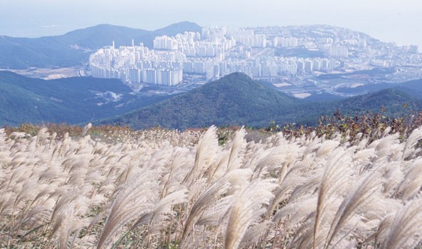 장산