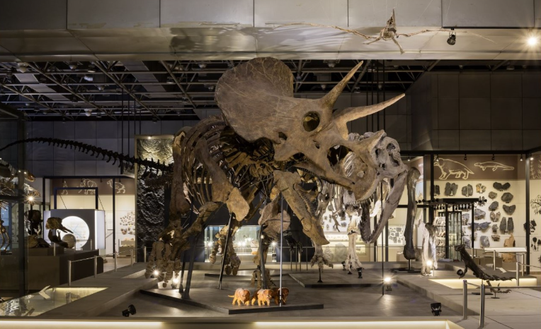 국립중앙과학관3