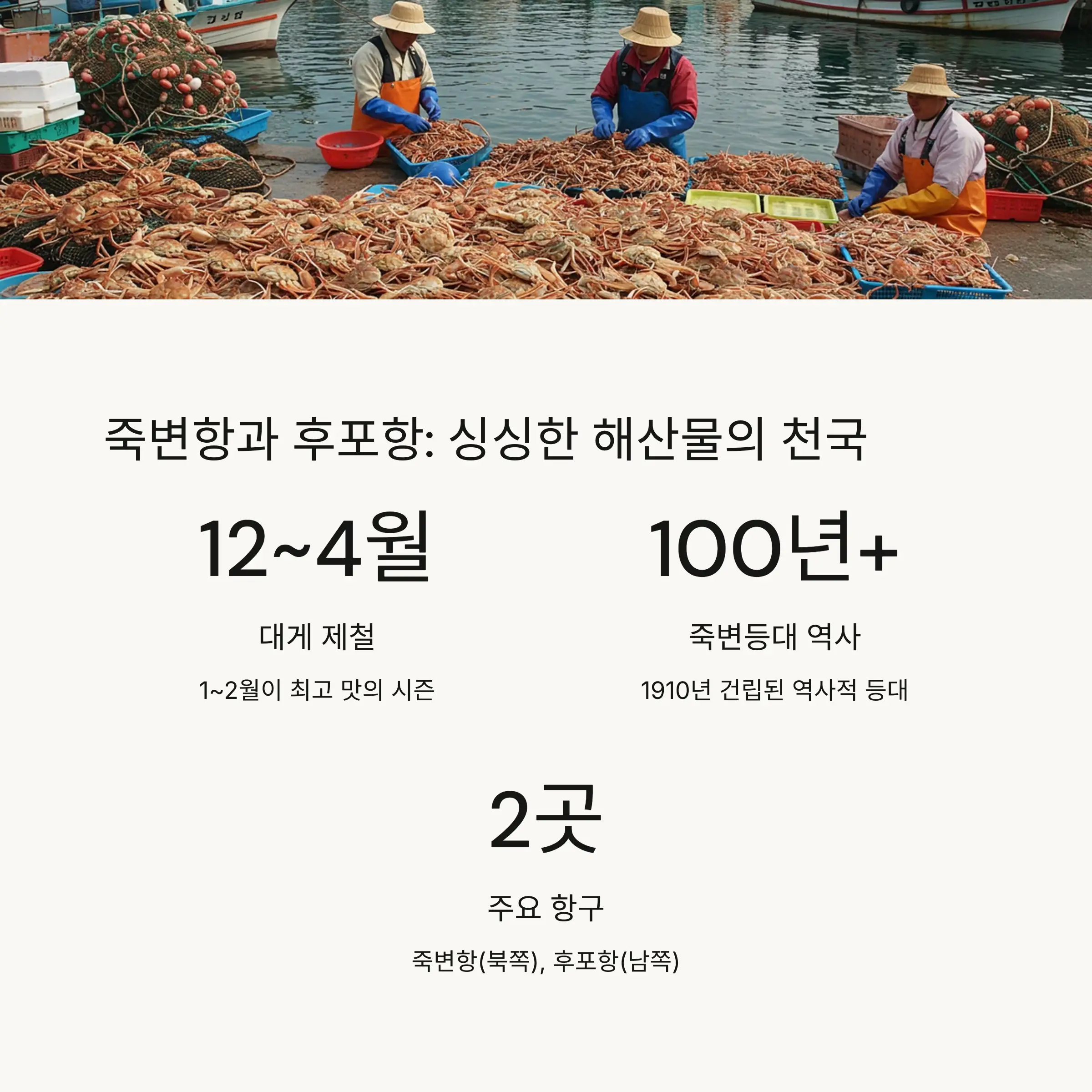 🚢 죽변항과 후포항: 싱싱한 해산물의 천국