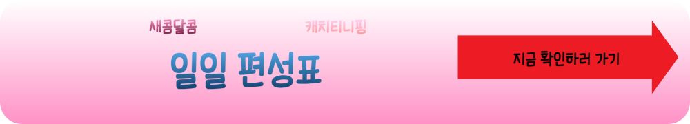 캐치티니핑 일일 편성표