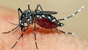 모기 물려서 가려울 때