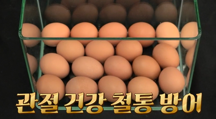 콘드로이친 효능