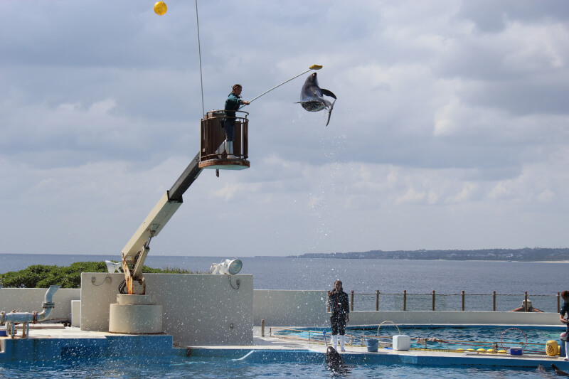 오키나와 겨울여행