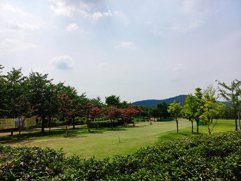 달성군 서재파크골프장. 대구시 달성군 다사읍 다사로 822 (방천리 환경자원사업소)