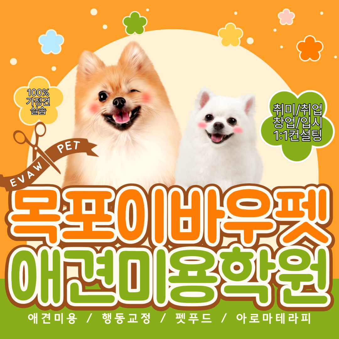 목포-애견미용-학원