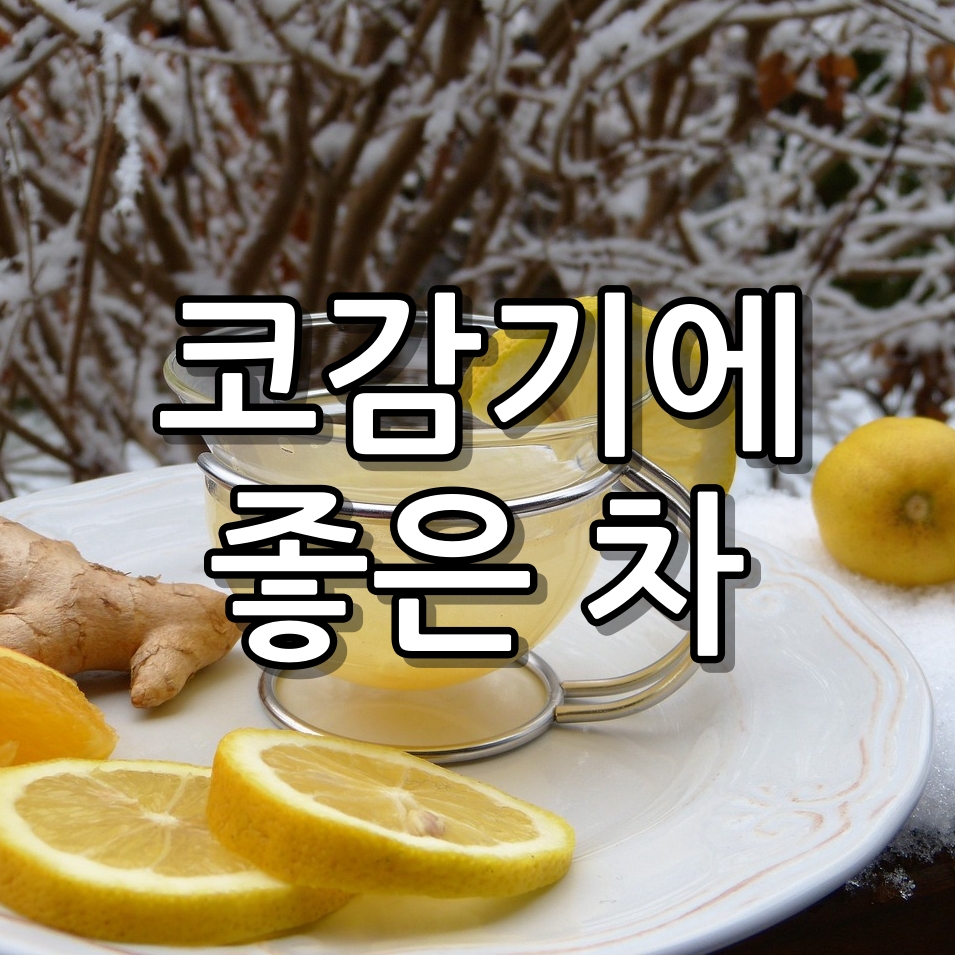 코감기에 좋은 차 증상 완화해주는 BEST5