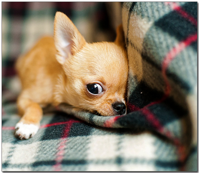 ์ด๋ถ์ ์น์์