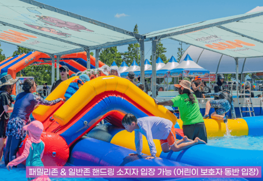 보령머드축제