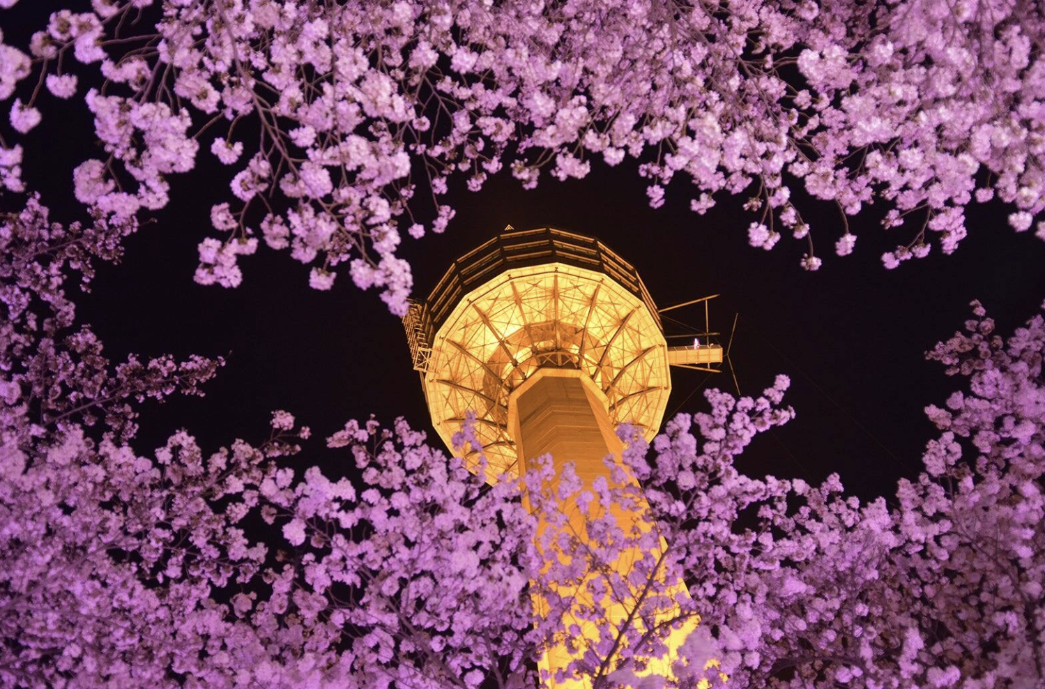 대구 힙플레이스 여행