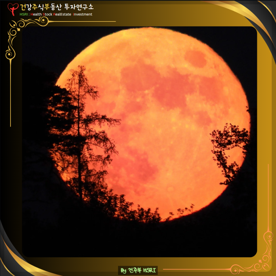 골로새서 2장 그리스도 안에 있는 충만함
(글 그림 : 건주부, 그림 출처 : Canva)