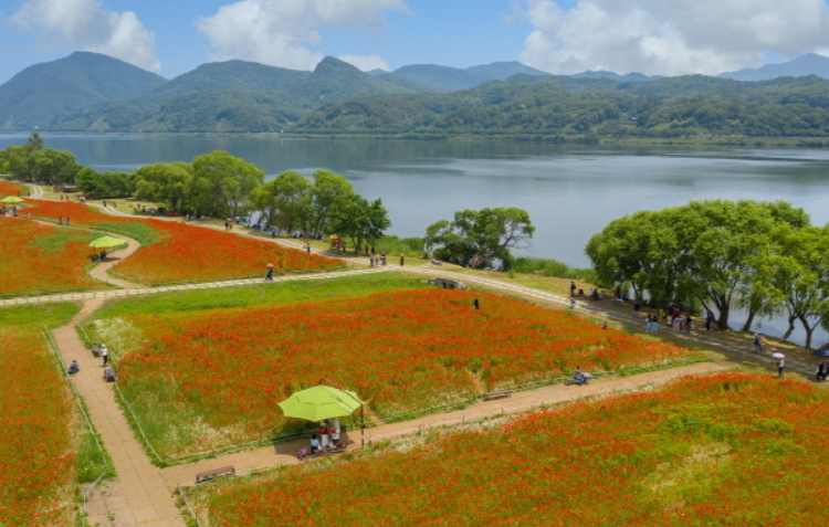 남양주 물의정원