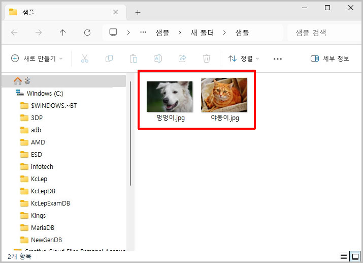 압축 해제 파일