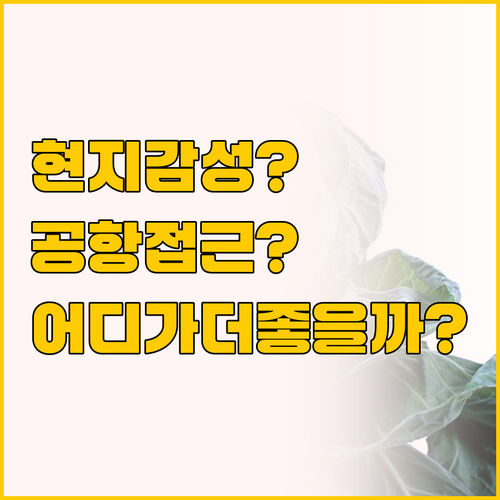 브뤼셀 숙소 비교, 현지 감성 vs ..