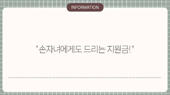 손자녀 생활지원금의 혜택