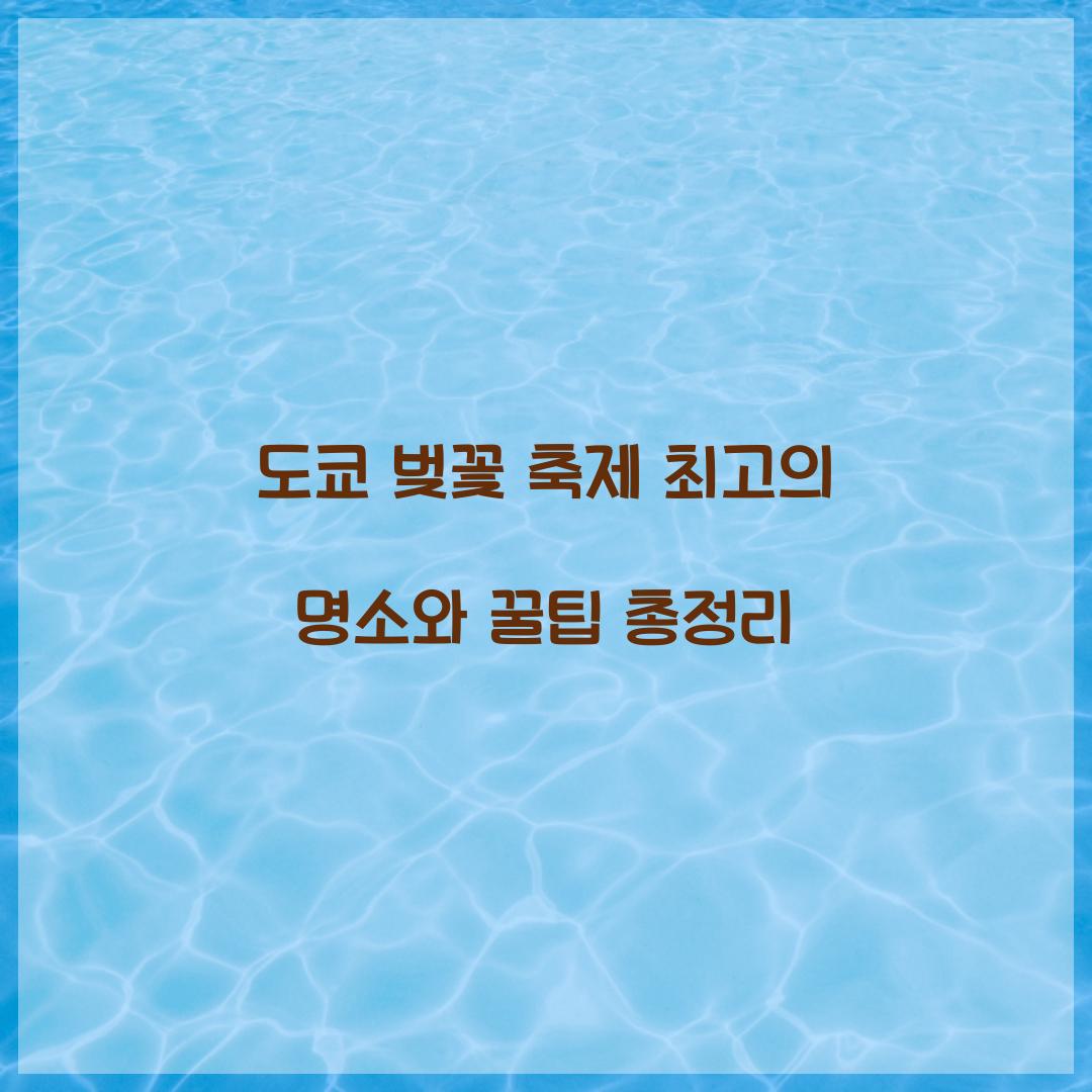 도쿄 벚꽃 축제