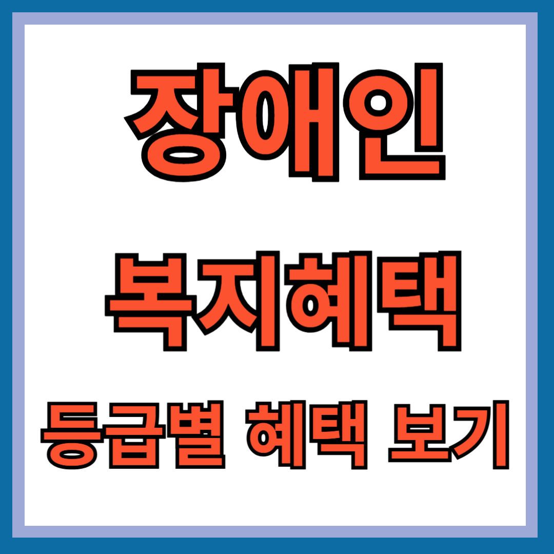 장애인 복지 혜택