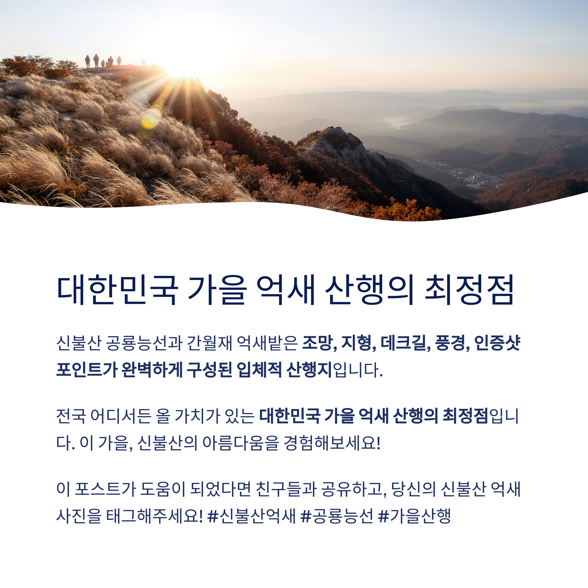 결론: 신불산 억새는 ‘넓이’가 아닌 ‘구성의 완성도’로 압도한다