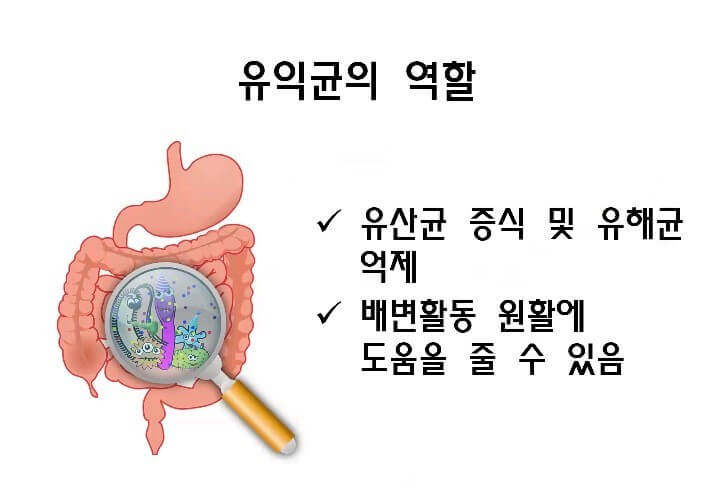 유익균이 중요