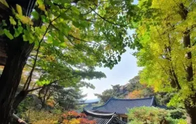 템플스테이-사찰-예약-가격-확인-방법