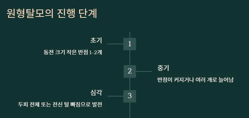 원형탈모-진행단계