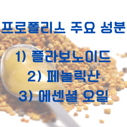 프로폴리스_주요성분