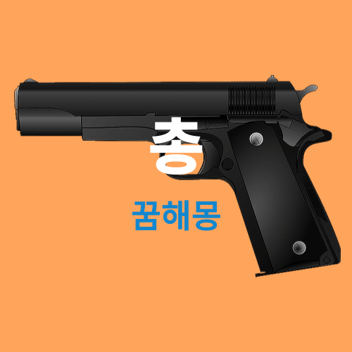 총 꿈해몽 best(꿈에 누군가에게 총을 쏘는 꿈은 길몽 이지만 들고 있는 상황은 흉몽입니다)
