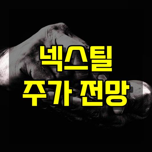 넥스틸 주가 전망