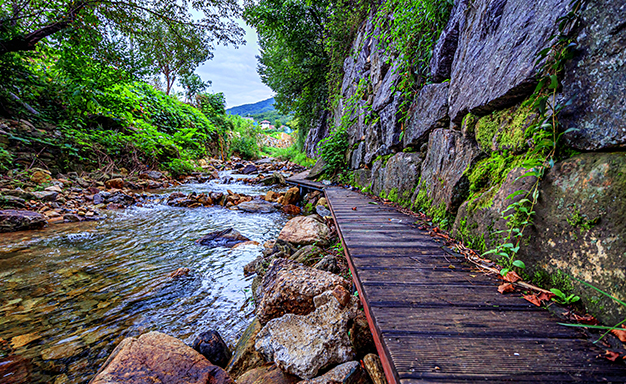고기리계곡: 음식점과 카페, 자연의 조화