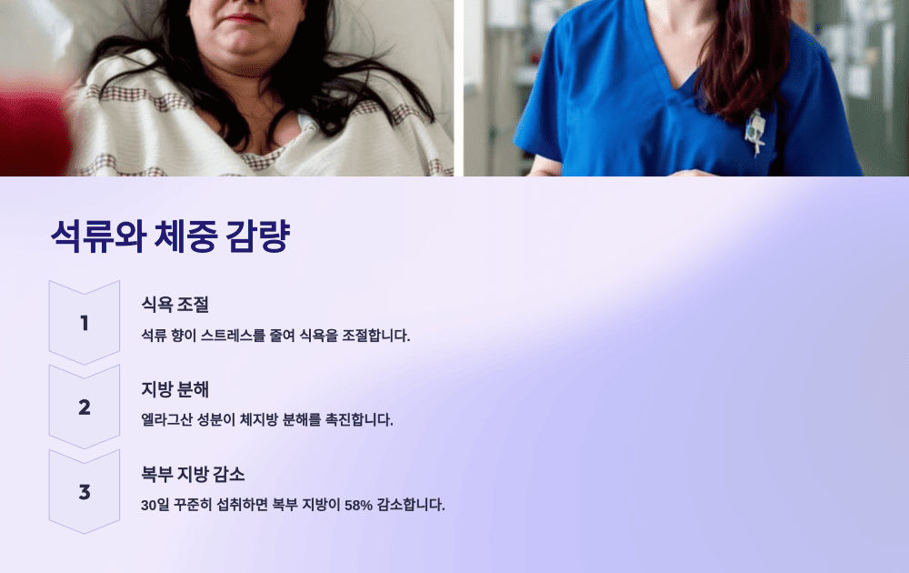 석류와 체중 감량