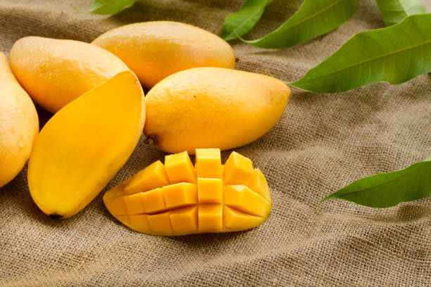 🥭 망고의 베타카로틴 — 눈·피부·면역을 동시에 잡는 열대과일 영양학