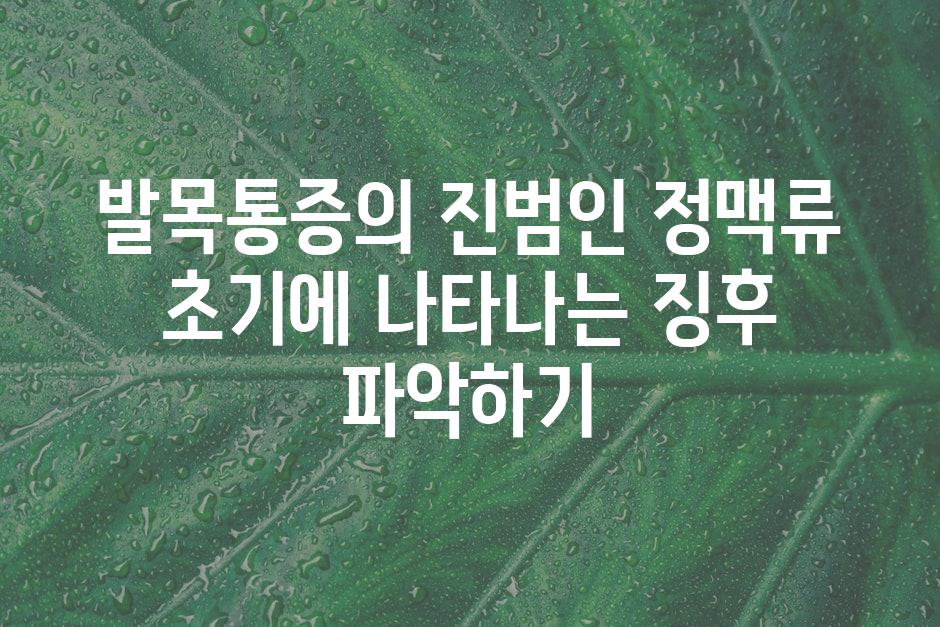 발목통증의 진범인 정맥류 초기에 나타나는 징후 파악하기