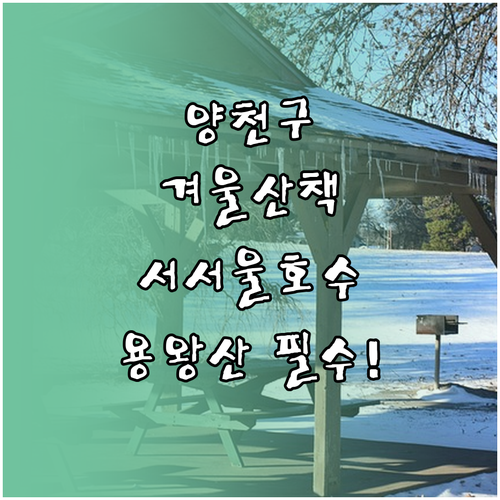 서서울호수공원 용왕산 양천구 겨울 산..