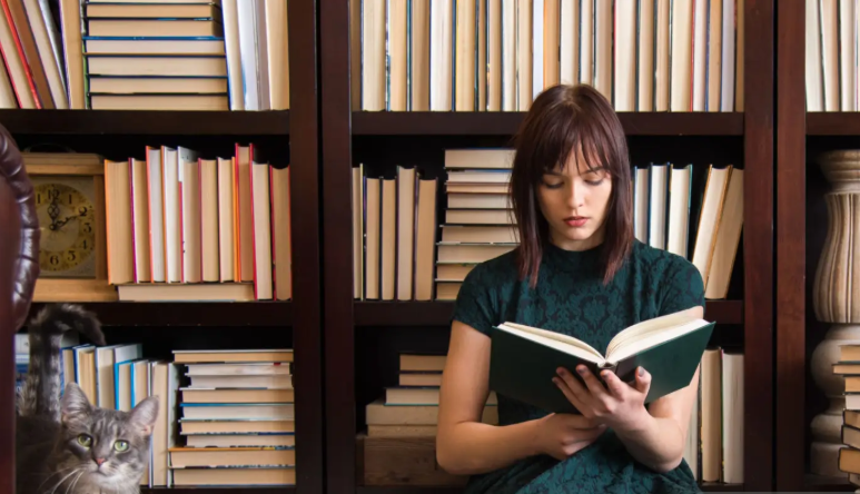 내향인이 홀로 자기만의시간에 책을읽는 자기계발관련 사진