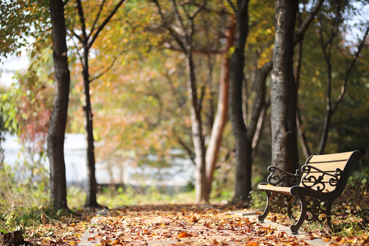 경주 가을산행 휴식의자