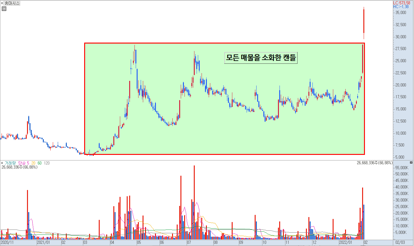 휴마시스 일봉 차트