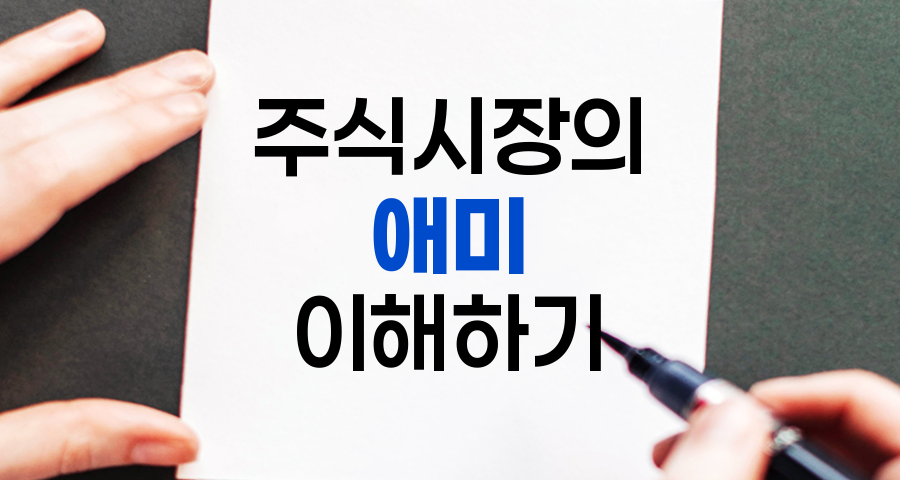 애미, 주식시장의 전문가 개미