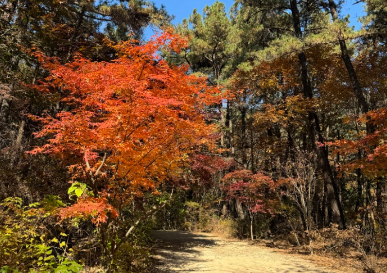 북한산 우이령길