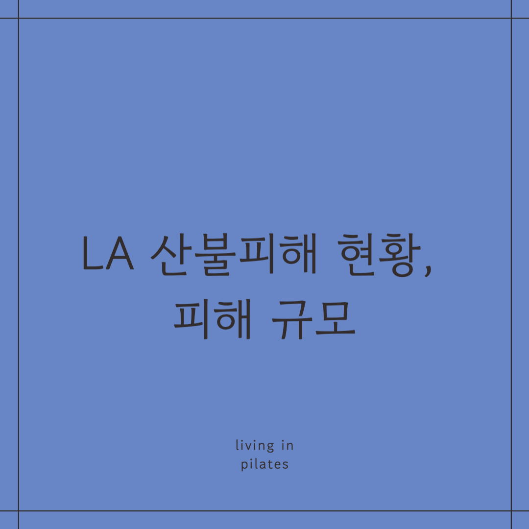 LA 산불피해 현황, 피해 규모
