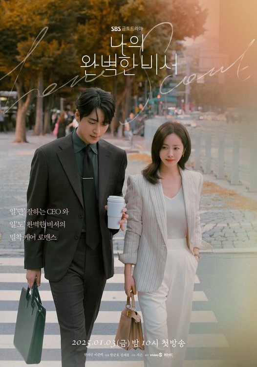 나의 완벽한 비서 포스터