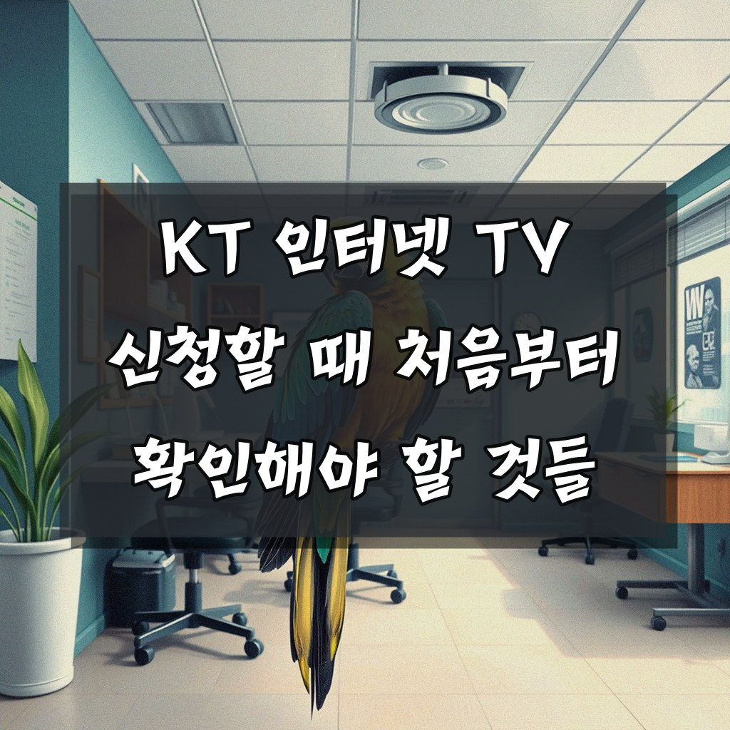 KT 인터넷 TV 가입 시 꼭 알아둘 점