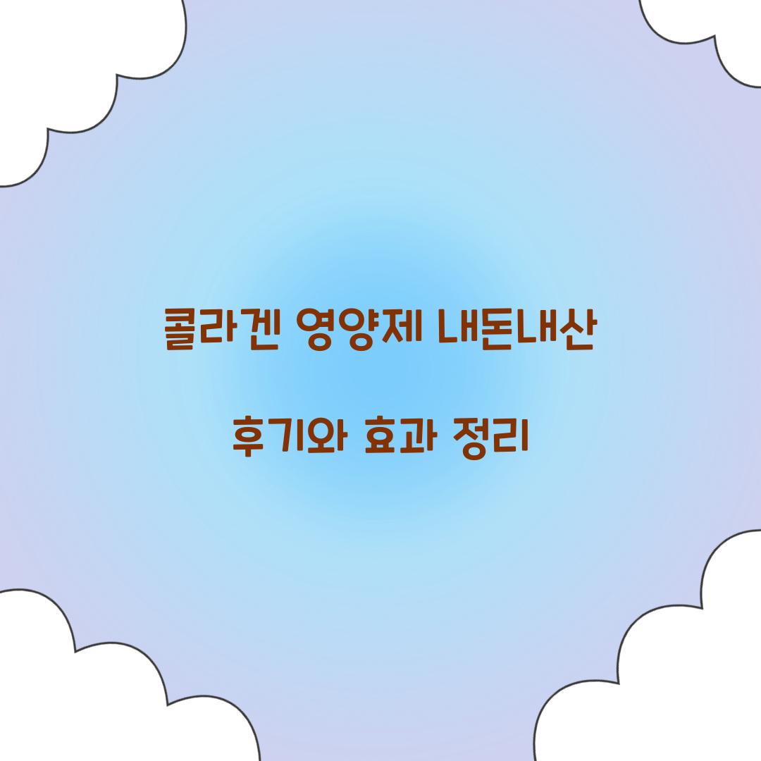 콜라겐 영양제 내돈내산