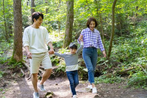 서울대 안양수목원 예약하러 가기