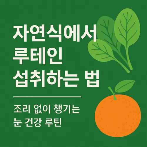 연식 루테인 섭취법 소개