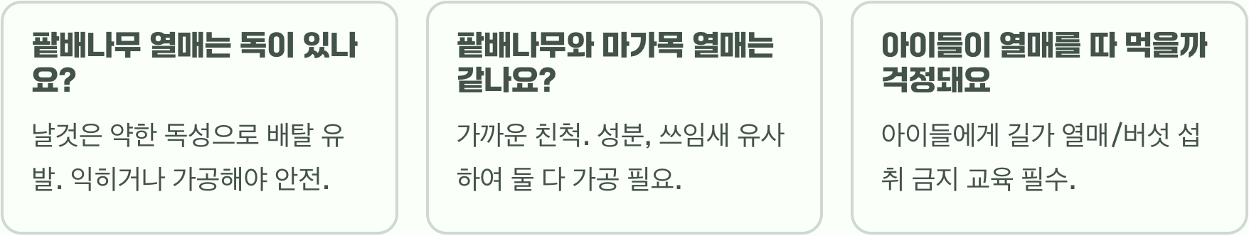 팥배나무 열매, 먹어도 될까요? (독성 정보 포함)