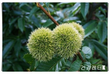 밤 16