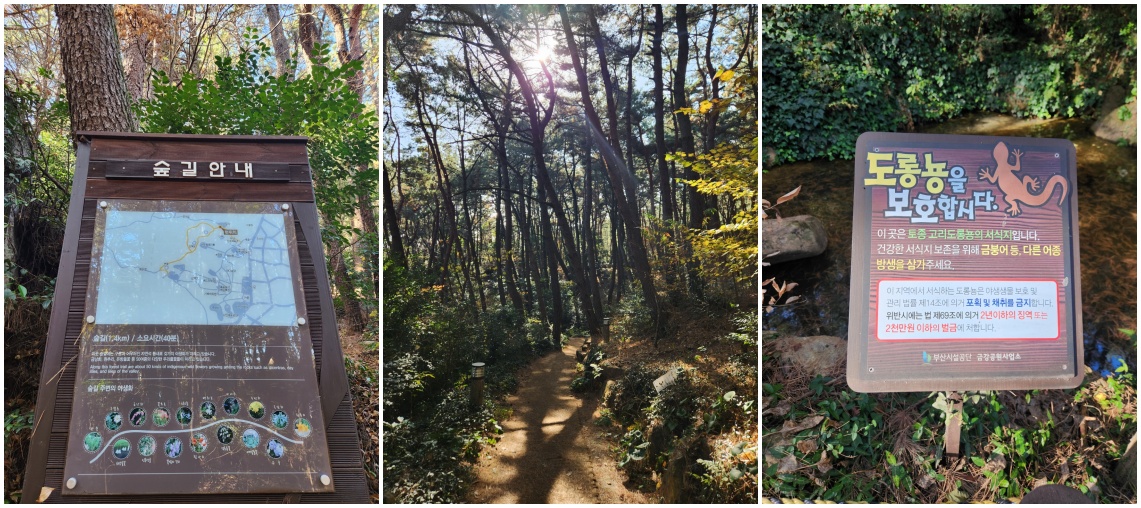 등산로 사진