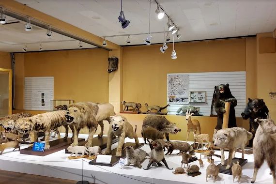 경북대학교 자연사박물관