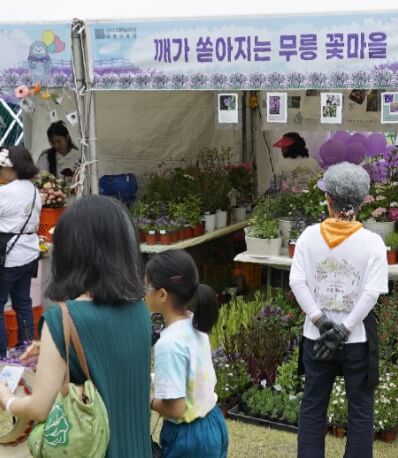 무릉별유천지 라벤더축제